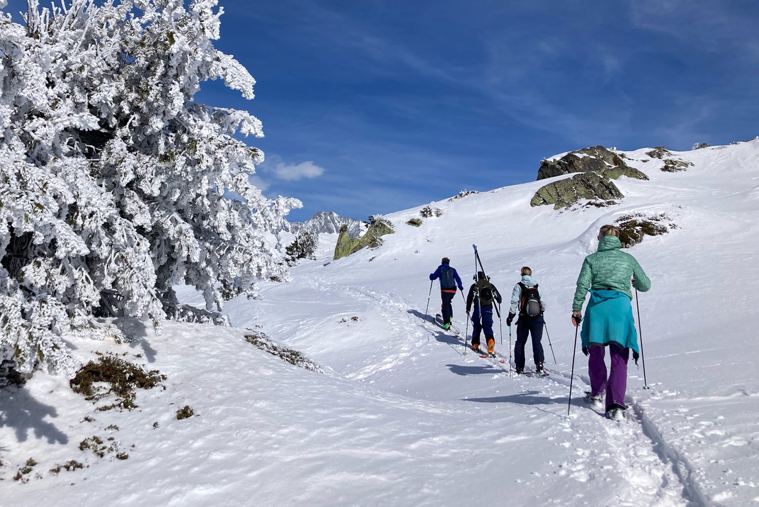 Paradiso degli sport invernali Svizzera - BnB Switzerland